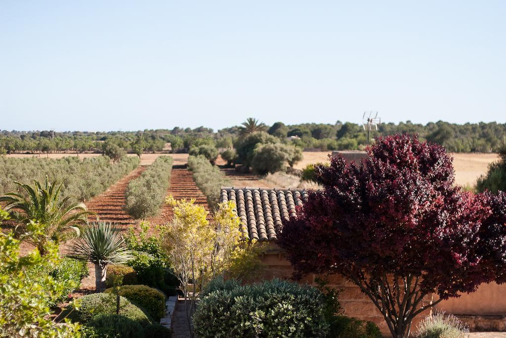 Finca Agroturismo Can Carro Campos  Ngoại thất bức ảnh